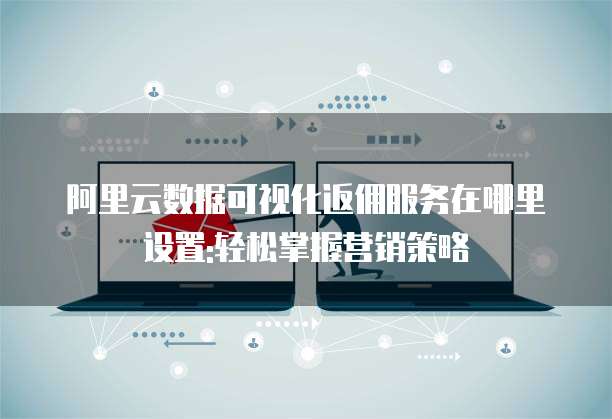 阿里云数据可视化返佣服务在哪里设置:轻松掌握营销策略