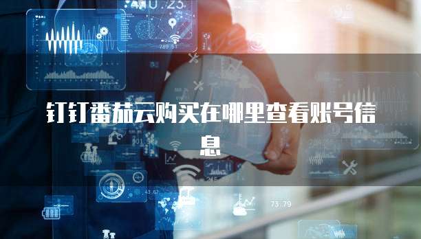 钉钉番茄云购买在哪里查看账号信息