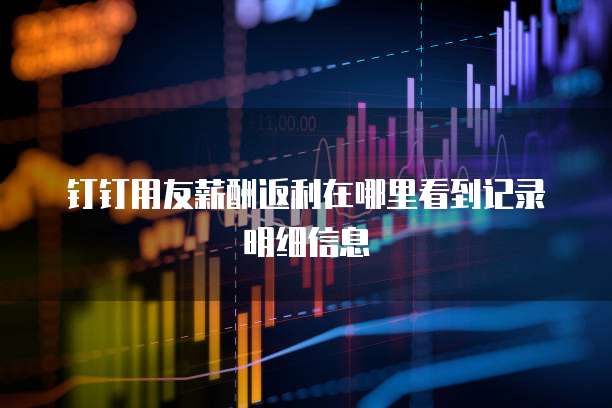 钉钉用友薪酬返利在哪里看到记录明细信息