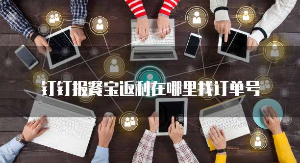 钉钉报餐宝返利在哪里找订单号