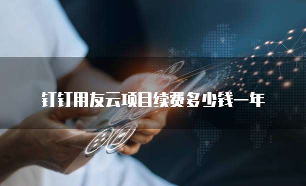 钉钉用友云项目续费多少钱一年