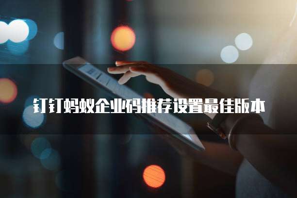钉钉蚂蚁企业码推荐设置最佳版本