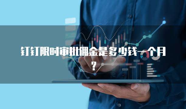 钉钉限时审批佣金是多少钱一个月?