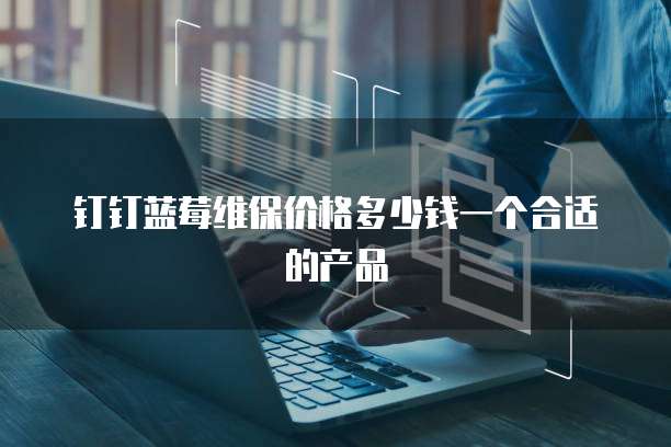钉钉蓝莓维保价格多少钱一个合适的产品