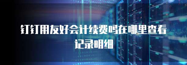 钉钉用友好会计续费吗在哪里查看记录明细