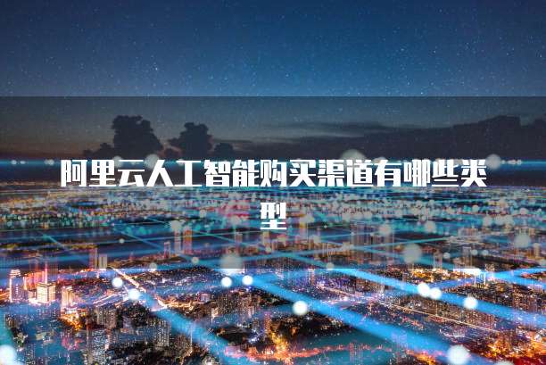 阿里云人工智能购买渠道有哪些类型