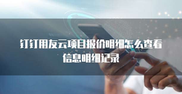 钉钉用友云项目报价明细怎么查看信息明细记录