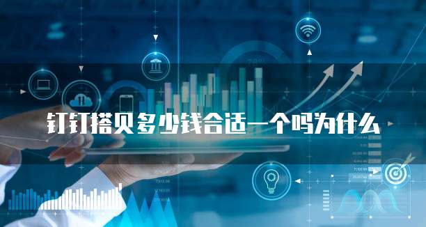 钉钉搭贝多少钱合适一个吗为什么