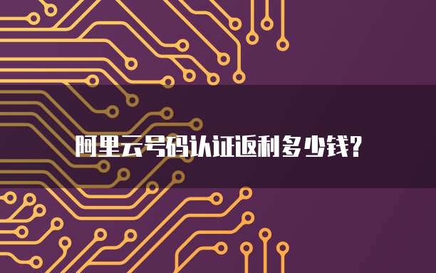 阿里云号码认证返利多少钱?