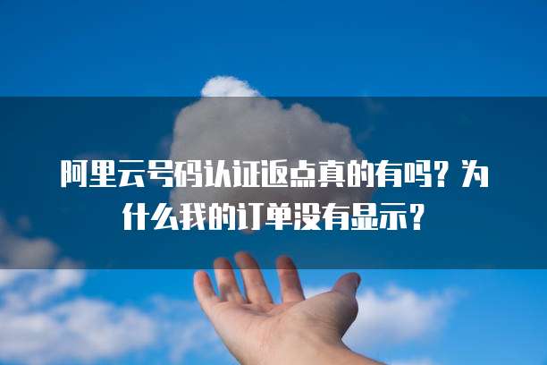 阿里云号码认证返点真的有吗?为什么我的订单没有显示?