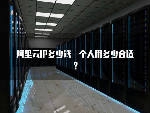 阿里云IP多少钱一个人用多少合适?