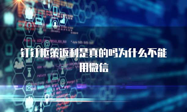 钉钉枢策返利是真的吗为什么不能用微信