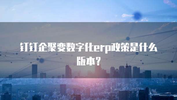 钉钉企聚变数字化erp政策是什么版本?