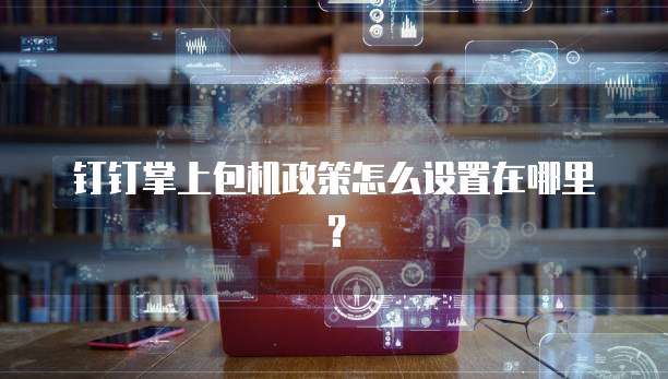 钉钉掌上包机政策怎么设置在哪里?