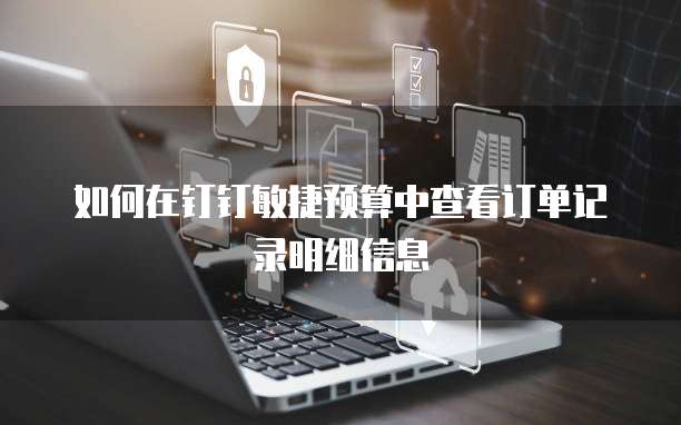 如何在钉钉敏捷预算中查看订单记录明细信息