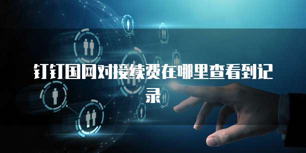 钉钉国网对接续费在哪里查看到记录