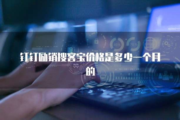 钉钉励销搜客宝价格是多少一个月的