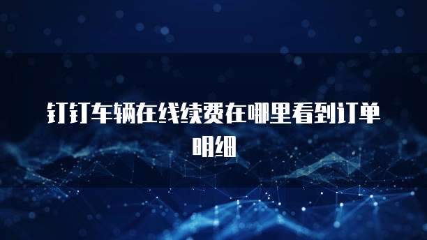 钉钉车辆在线续费在哪里看到订单明细