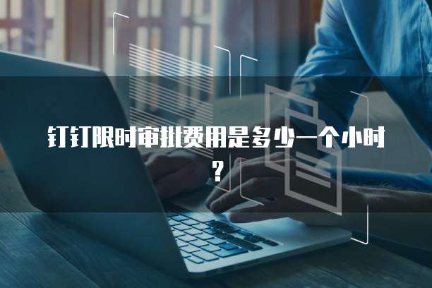 钉钉限时审批费用是多少一个小时？