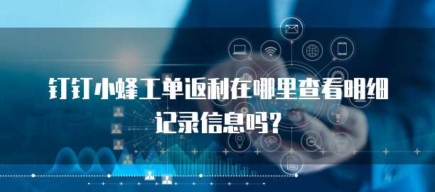 钉钉小蜂工单返利在哪里查看明细记录信息吗?