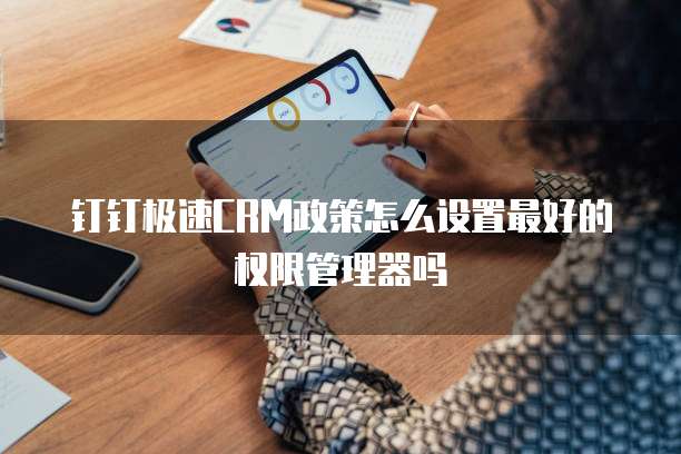 钉钉极速CRM政策怎么设置最好的权限管理器吗