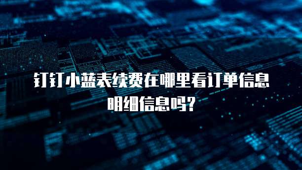钉钉小蓝表续费在哪里看订单信息明细信息吗?
