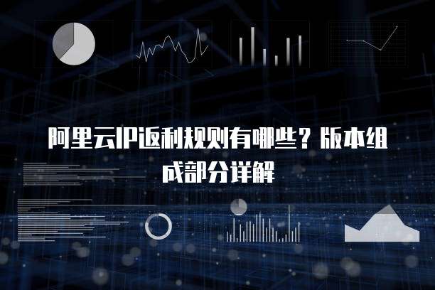 阿里云IP返利规则有哪些?版本组成部分详解