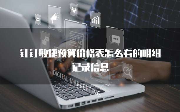 钉钉敏捷预算价格表怎么看的明细记录信息