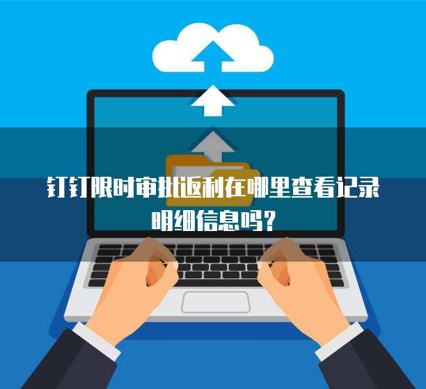 钉钉限时审批返利在哪里查看记录明细信息吗？