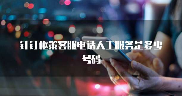 钉钉枢策客服电话人工服务是多少号码