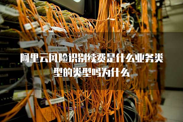 阿里云风险识别续费是什么业务类型的类型吗为什么