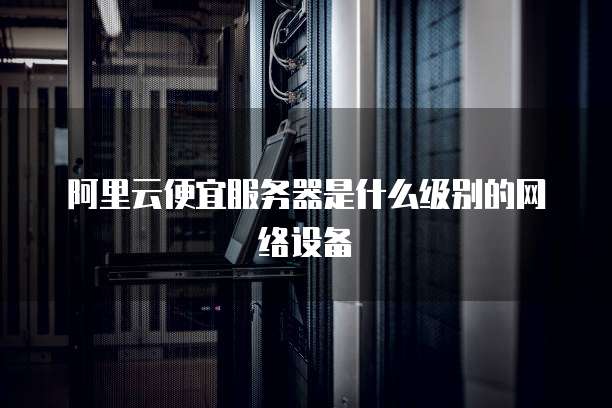 阿里云便宜服务器是什么级别的网络设备