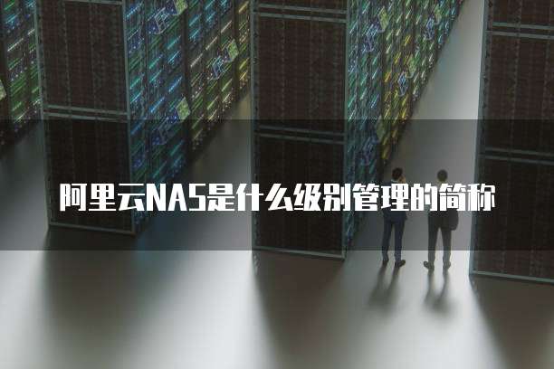 阿里云NAS是什么级别管理的简称