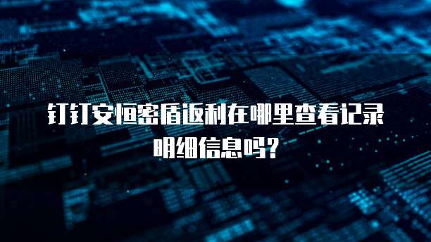 钉钉安恒密盾返利在哪里查看记录明细信息吗?
