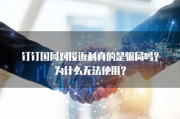 钉钉国网对接返利真的是骗局吗?为什么无法使用?