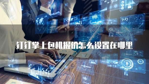 钉钉掌上包机报价怎么设置在哪里