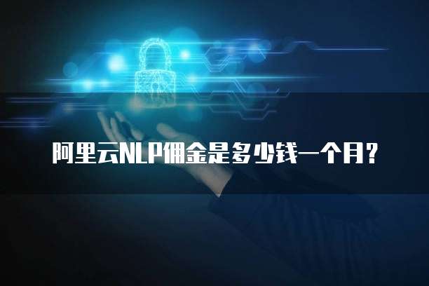 阿里云NLP佣金是多少钱一个月?