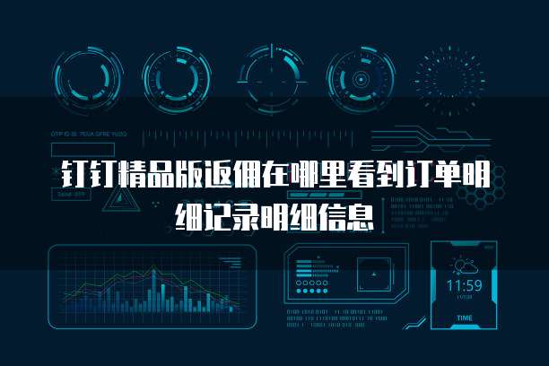 钉钉精品版返佣在哪里看到订单明细记录明细信息
