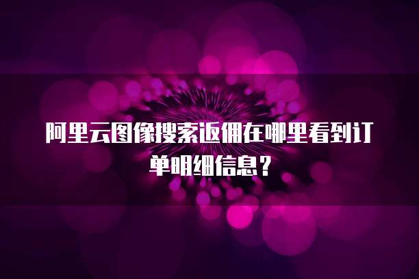 阿里云图像搜索返佣在哪里看到订单明细信息?