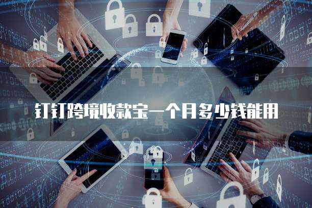 钉钉跨境收款宝一个月多少钱能用