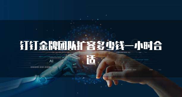 钉钉金牌团队扩容多少钱一小时合适