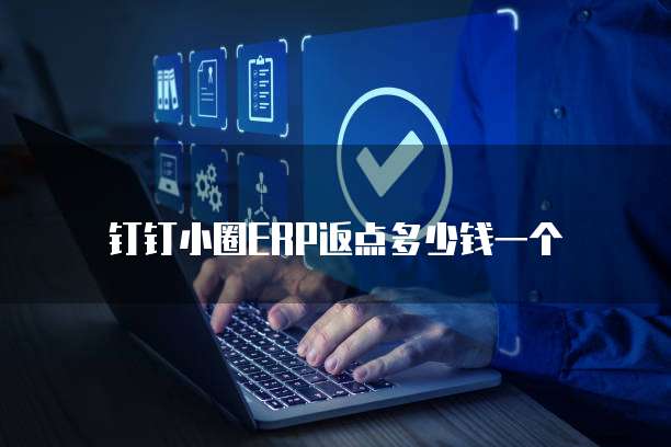 钉钉小圈ERP返点多少钱一个