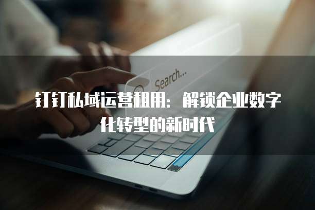 钉钉私域运营租用：解锁企业数字化转型的新时代