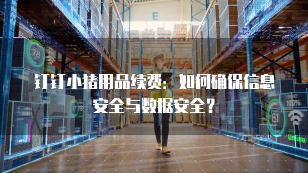 钉钉小猪用品续费:如何确保信息安全与数据安全?