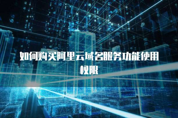 如何购买阿里云域名服务功能使用权限