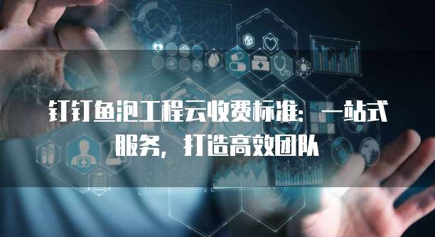 钉钉鱼泡工程云收费标准：一站式服务，打造高效团队