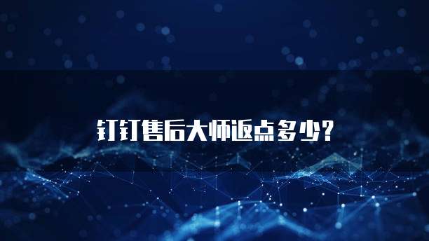 钉钉售后大师返点多少？