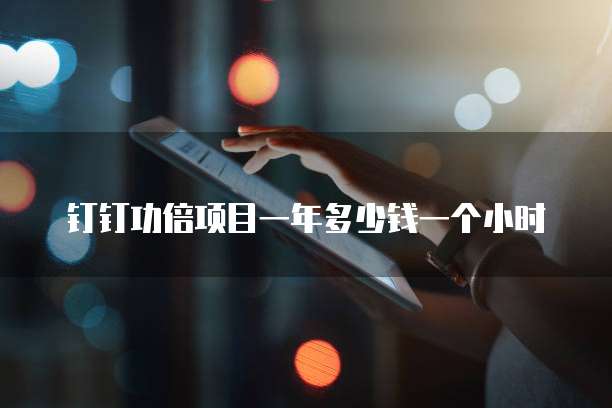 钉钉功倍项目一年多少钱一个小时