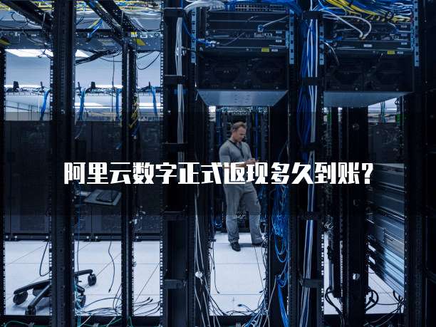 阿里云数字正式返现多久到账?