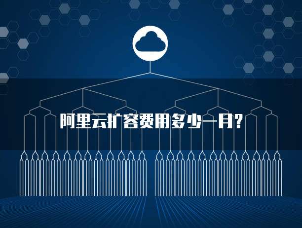 阿里云扩容费用多少一月?